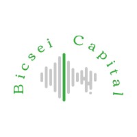 Bicsei Capital Inc.