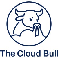 The Cloud Bull logo - Similar company to Cloud Io Strategy