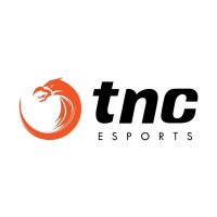 TNC Gaming logo - Similar company to Tnc Consulting