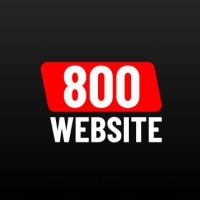 800website logo - Similar company to Direct Information Systems