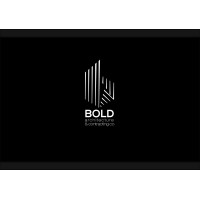 bold_co logo - Similar company to T&H Technology