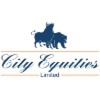 City Equities Ltd