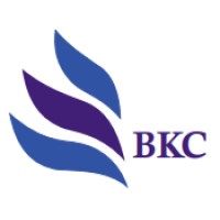 Intergrande BKC Group of Companies logo - Similar company to Bkc Bv