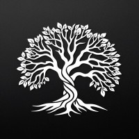 Twisted Oak Capital logo - Similar company to Idvera Software Inc.