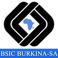 BSIC Burkina SA logo - Similar company to Cartee