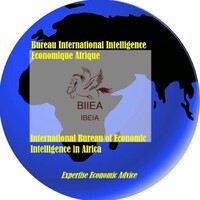 BIIEA- Bureau International Intelligence Economique Afrique logo - Similar company to Idt Consultancy Limited