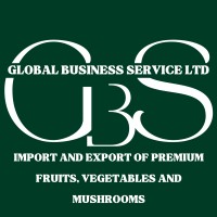 Global Business Service LTD logo - Similar company to Renaissance Global Services, Llc (Service-Disabled Veteran Owned Small Business)