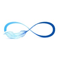 Infinitum Financial Solutions logo - Similar company to Provisory Fs