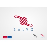 SalvoJobs logo - Similar company to Mbm Lab