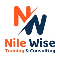 Nile Wise logo - Similar company to Cfo Factory