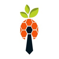 Pinya HR Polska logo - Similar company to Pinya Hr