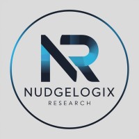 Nudgelogix Research Services Pvt Ltd logo - Similar company to Nudgelogics