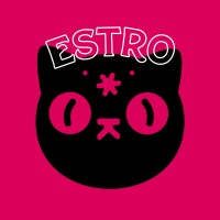 ESTRO Agency logo - Similar company to Naa Studio