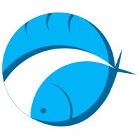 BridgePH logo - Similar company to Level4 Solutions