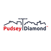 Pudsey Diamond logo - Similar company to Botlib.Ai