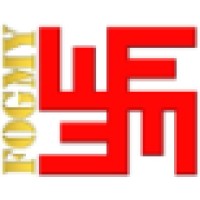 Fogmy Consulting LLP logo - Similar company to Mattester Oy