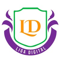 Liga Digital Agência de Marketing e de Lançamentos logo - Similar company to Linkbiz - Marketing De Performance - Agência Digital