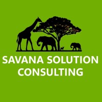 Savana Solution Consulting logo - Similar company to Plads