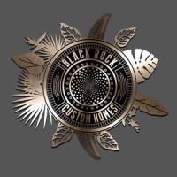 Black Rock Real Estate Development, LLC logo - Similar company to Pryceless Ventures, Llc