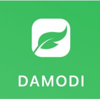 Damodi logo - Similar company to Sitigrid