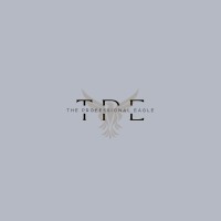 The Professional Eagle logo - Similar company to Danor Tech