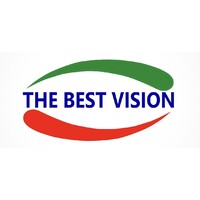 The Best Vision - TIGAVE Team logo - Similar company to The Best Vision