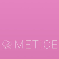 Metice Corp. logo - Similar company to Ndm Travaux