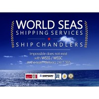 WORLD SEAS SHIPPING SERVICES logo - Similar company to Johnson Logistics
