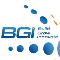 B.G.I. logo - Similar company to Phoenix Technology Systems