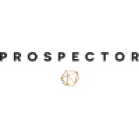 Prospector Executive Search & Consulting logo - Similar company to Softech Capital Corp