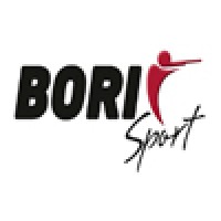 BORI Sport logo - Similar company to Peugeot, Opel I Leapmotor Lleida - Autodiler 3000
