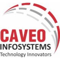Caveo Infosystems India Pvt Ltd logo - Similar company to Lapsys Infotech Pvt Ltd