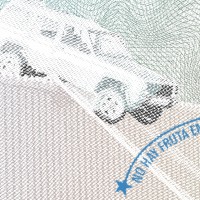 Migrante Media logo - Similar company to Sandwich Vision