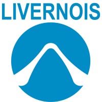 Livernois Engineering logo - Similar company to Rubesh Rahbord Energy