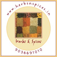 Herbs & Spices logo - Similar company to Jiaherbio