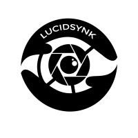 LucidSynk logo - Similar company to Be Multimedia Co Ltd
