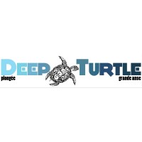 DEEP TURTLE PLONGEE MARTINIQUE