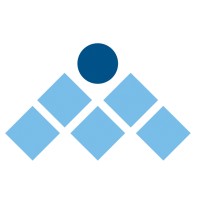 Management Solutions International (MSI) logo - Similar company to V  Search