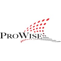 ProWise, a.s. logo - Similar company to Transparex.Sk
