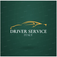 Driver Service Italy logo - Similar company to Well Pc