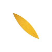 7D logo - Similar company to Spaarne Labs