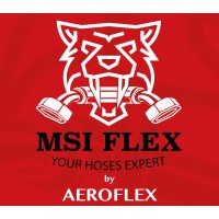 MSI FLEX logo - Similar company to Geoskills Engineering