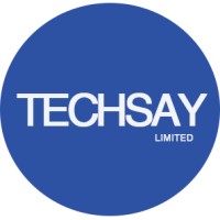 Techsay-Limited logo - Similar company to Sayso.In