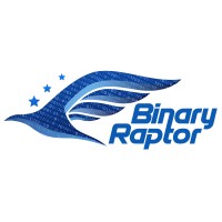 Binary Raptor Technologies LLP logo - Similar company to Implicit Solutions
