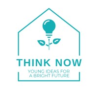 THINK NOW Foundation logo - Similar company to Dutch Development Partners Foundation