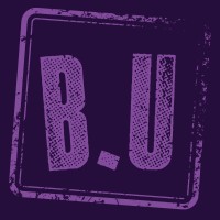 Blerdz Unite Media logo - Similar company to Practice Marketing Specialists, Inc.