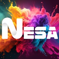 Nesa Software Pvt Ltd logo - Similar company to Techwingsys