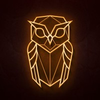 Nightowl Studio logo - Similar company to Visualged