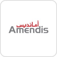 Amendis logo - Similar company to Fdsolutions