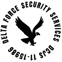 Delta Force Security Services, LLC logo - Similar company to Sailord